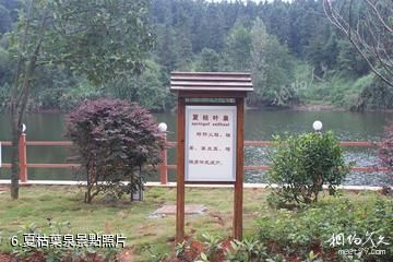 湖北龍佑赤壁溫泉度假區-夏枯葉泉照片