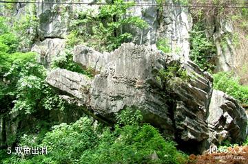 广西龙珠湖风景区-双龟出洞照片