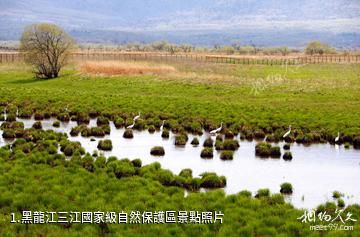 黑龍江三江國家級自然保護區照片