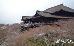 日本清水寺旅游攻略之清水寺舞台