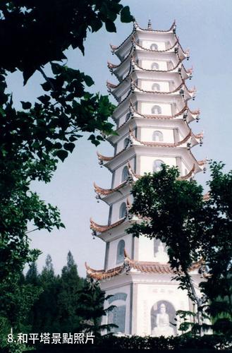 資陽樂至龍門報國寺-和平塔照片