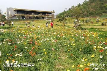 貴定金海雪山-四季花谷照片