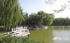 寧夏銀川中山公園旅遊攻略之銀湖