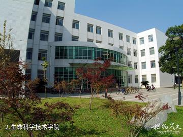华中农业大学-生命科学技术学院照片