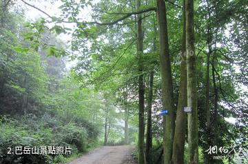 重慶巴岳山―西溫泉風景區-巴岳山照片