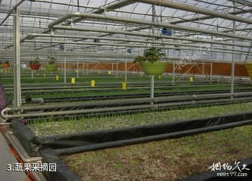津南国家农业科技园-蔬果采摘园照片