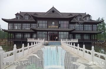 枣庄山亭月亮湾湿地旅游区-自然生态博物馆照片