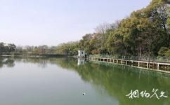 江西凤凰沟旅游攻略之白浪湖