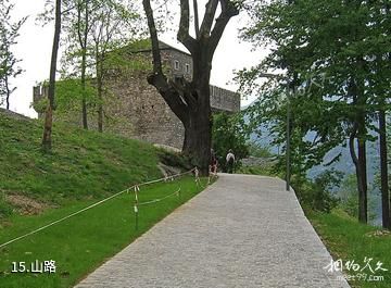 瑞士贝林佐纳城堡-山路照片
