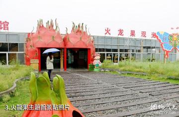 諸暨米果果小鎮-火龍果主題館照片