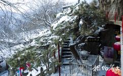 锦州北普陀山旅游攻略之石棚松雪