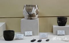 黑龙江省博物馆旅游攻略之文物