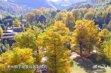 永州桐子坳景區照片
