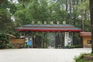 广西柳州柳北沙塘旅游攻略-沙塘镇景点排行榜
