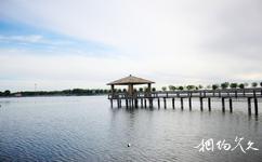泰來泰湖國家濕地公園旅遊攻略之親水棧道