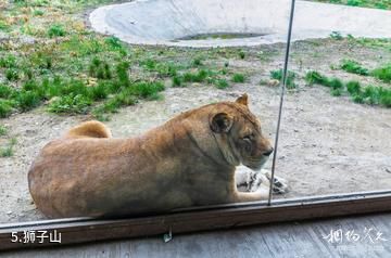 齐齐哈尔龙沙动植物园-狮子山照片