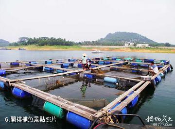 儋州松濤天湖-開排捕魚照片