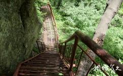 蓝田王顺山国家森林公园旅游攻略之铁梯
