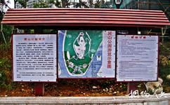 温州巽山公园旅游攻略之游览示意图