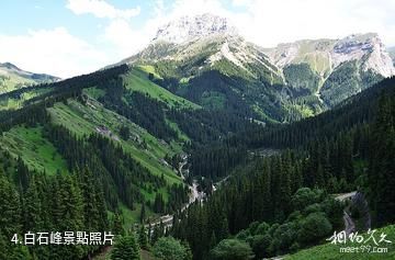 伊犁白石峰瓊博拉森林公園-白石峰照片