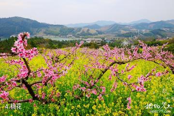 长兴城山沟-桃花照片