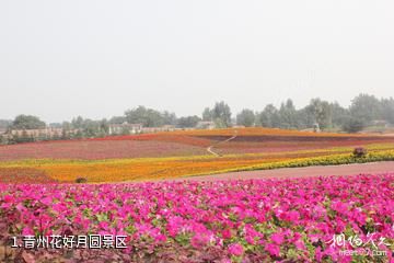 青州花好月圆景区照片