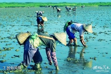 福建漳江口红树林国家级自然保护区-民俗风情照片