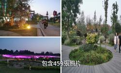 成都天府芙蓉園驢友相冊