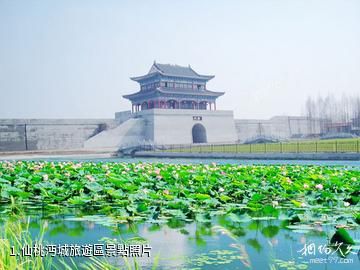 仙桃沔城旅遊區照片