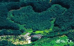 深圳仙湖植物园旅游攻略之香港回归纪念林