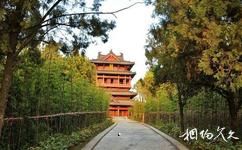 徐州漢文化旅遊攻略之竹林寺