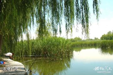 清水湖生态度假村-垂钓池照片