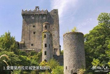 愛爾蘭布拉尼城堡照片