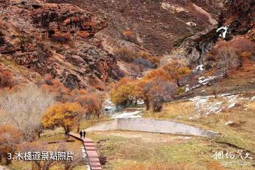 額敏野果林景區-木棧道照片