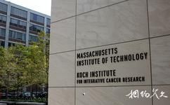 美國麻省理工學院旅遊攻略之癌症研究學院