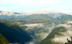 泰顺承天氡泉旅游攻略之雾带雾谷