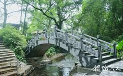 桂林灕江逍遙湖旅遊攻略之密林古風