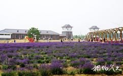 東海青松嶺森林公園旅遊攻略之情人谷