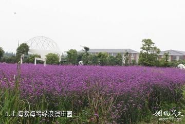 上海紫海鹭缘浪漫庄园照片