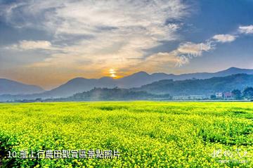 福建長泰古山重景區-壟上行農田觀賞區照片