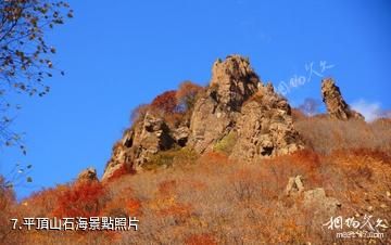茅荊壩國家森林公園-平頂山石海照片