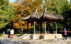 北京地壇公園旅遊攻略之牡丹園