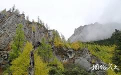 四川七藏溝旅遊攻略之山林