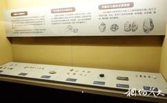 大庆市博物馆旅游攻略之旧石器时代