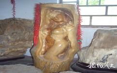 山東馬山國家級自然保護區旅遊攻略之裸女木雕
