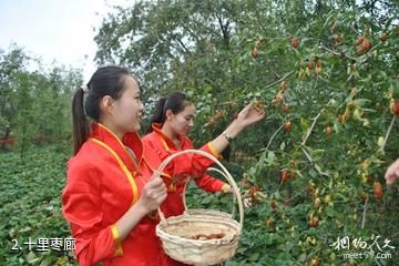 枣庄山亭区红枣农业旅游区-十里枣廊照片