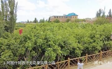 阿图什阿孜汗无花果风情小镇照片