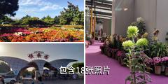 乌鲁木齐植物园驴友相册