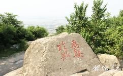 蚌埠塗山—白乳泉旅遊攻略之石刻