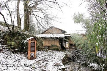 萬州三峽古楓香園景區-中華楓香王照片